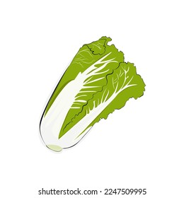 vector illustration of fresh and nutritious coy vegetables