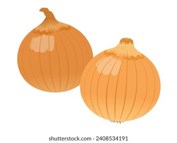 Vector illustration of fresh onions