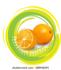 Vector illustration of fresh orange