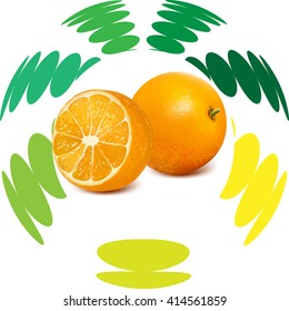 Vector illustration of fresh orange
