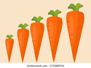 Vector illustration of fresh orange carrot vegetable