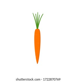 Vector illustration of fresh orange carrot with green leaves isolated on white background. Cartoon style carrot for icon, vegetarian menu, farmer market. Healthy food, organic vegetable. 