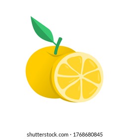 vector illustration of fresh orange fruit