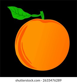 Ilustración vectorial de fruta fresca de naranja con hoja – Diseño Clipart de cítricos