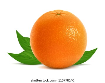 Vector illustration of fresh orange with leaves