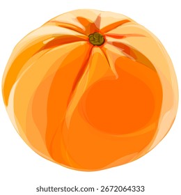 Ilustração vetorial de laranja fresco em cor madura.