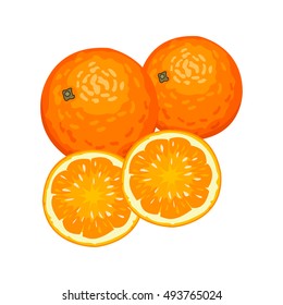 Vector illustration of fresh oranges