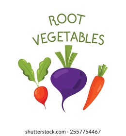 Vector illustration with  fresh organic food. Set of  cute hand drawn vegetables on a white background