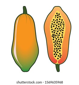 Vector illustration of fresh papaya fruit ready to eat