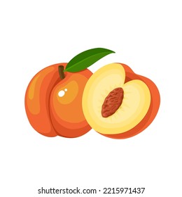 Vector illustration, fresh peach with slices, isolated on white background.