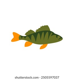 Vector illustration of fresh perch freshwater fish on white. For menu, label, recipe, product packaging. Freshwater food element. Action promotion and advertising. Caviar. EPS 10