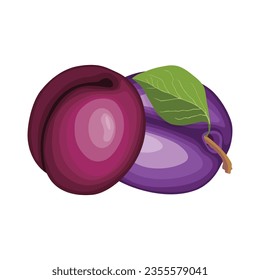 Vector illustration of fresh plum with green leaf in cartoon style. Whole fruit vector in cartoon flat style. Sweet plum isolated on a white background. Purple healthy fresh fruit collection.
