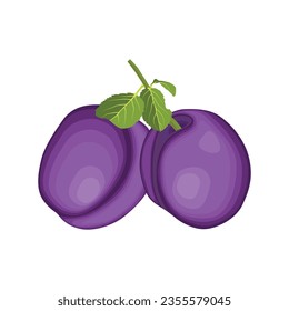 Vector illustration of fresh plum with green leaf in cartoon style. Whole fruit vector in cartoon flat style. Sweet plum isolated on a white background. Purple healthy fresh fruit collection.