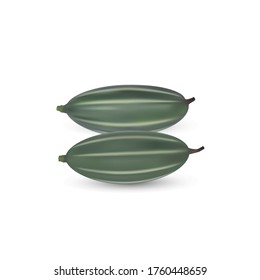 Vektorgrafik von frischen, gepunkteten Gourds einzeln auf weißem Hintergrund