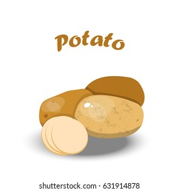 Vector illustration of fresh potato. Summer healthy food design. vegetarian or diet vegetable menu.