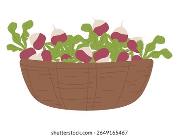 Ilustração vetorial de rabanetes frescos em uma cesta tecida. Os rabanetes têm verduras vibrantes e raízes rosadas avermelhadas, incorporando uma sensação fresca e orgânica para temas culinários.