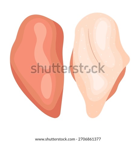 Vector illustration of a fresh raw boneless chicken breast