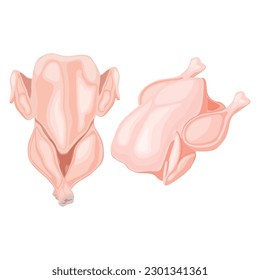Vector illustration of fresh raw chicken and chicken parts isolated on white background. Breast, wings and legs. Baked raw whole chicken meat