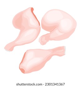 Vector illustration of fresh raw chicken and chicken parts isolated on white background. Breast, wings and legs. Baked raw whole chicken meat