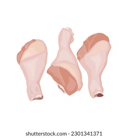 Vector illustration of fresh raw chicken and chicken parts isolated on white background. Breast, wings and legs. Baked raw whole chicken meat