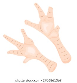 Ilustración vectorial de patas de pollo crudas frescas