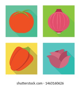 Vector illustration of fresh and red icon. Collection of fresh and organic stock symbol for web.