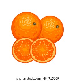 Vector illustration of fresh red Spanish oranges