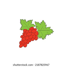 ilustración vectorial del vino tinto fresco con fondo blanco
