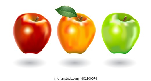 Vector illustration of fresh red, yellow and green apples, executed in a realistic manner.