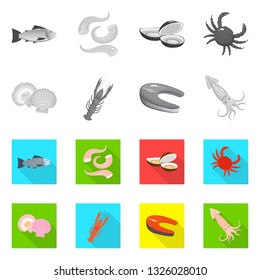 Vector illustration of fresh  and restaurant icon. Set of fresh  and marine   stock symbol for web.