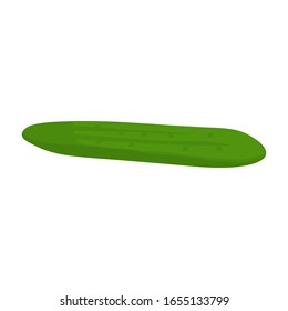 Ilustración vectorial con pepino verde maduro fresco aislado en un fondo blanco. Alimentos dietéticos e ingredientes para cosméticos. Productos agrícolas