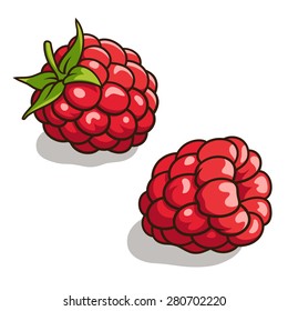 Vector illustration of fresh, ripe raspberries isolated on white