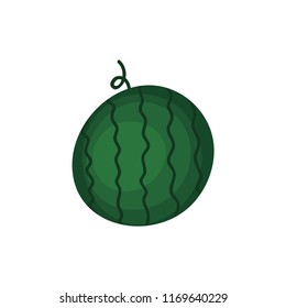 Vector illustration of fresh ripe watermelon.