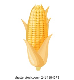 Vector illustration of a fresh. Ripe. And yellow maize corn cob. A healthy and nutritious organic vegetable. Harvested from a farm field in the sweet summer