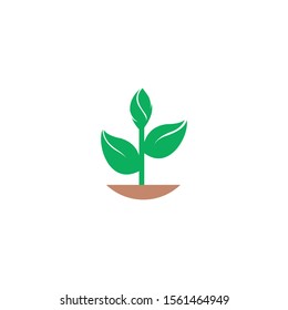 Vector illustration of fresh sapling with green leaf on soil