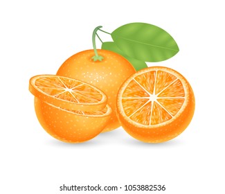 Vector illustration. Fresh sliced orange on a white background.