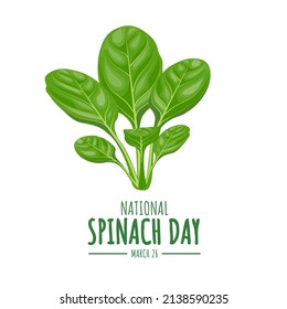Vector illustration, fresh spinach leaves isolated on white background, as a banner, poster or template, national spinach day.