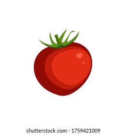 vector illustration of fresh tomato