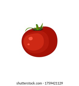 vector illustration of fresh tomato