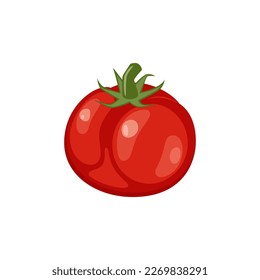 Vector illustration of fresh tomato fruit isolated on white background. Healthy food concept.