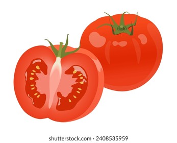 Ilustración vectorial de tomates frescos