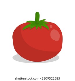 Vector illustration of fresh tomatoes on a white background.