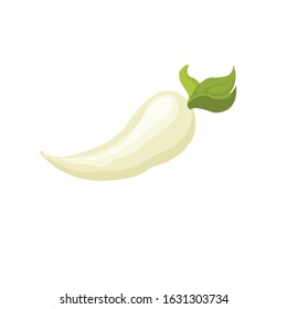Vector illustration of fresh vegetables - Vector isolated icons illustration