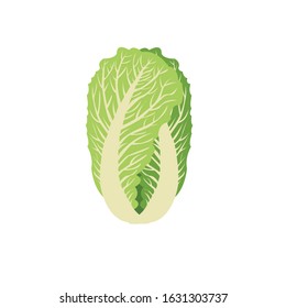 Vector illustration of fresh vegetables - Vector isolated icons illustration