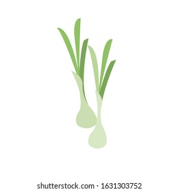 Vector illustration of fresh vegetables - Vector isolated icons illustration