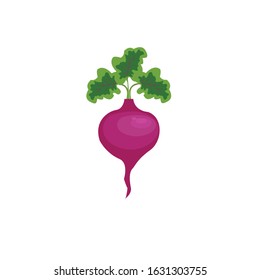 Vector illustration of fresh vegetables - Vector isolated icons illustration