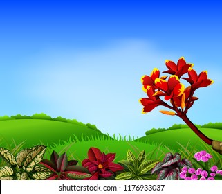 vector illustration of a fresh view with mountain and frangipani flower accent