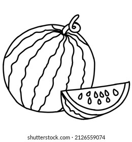 Vector illustration of fresh watermelon.