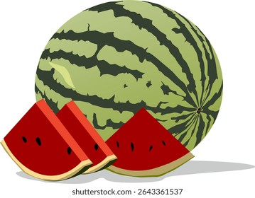 Vector illustration of fresh watermelon fruit image, watermelon fruit slice