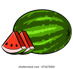 A vector illustration of fresh watermelon fruit